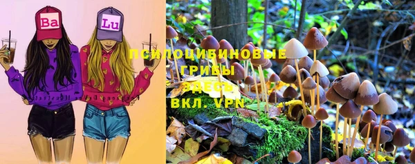 эйфоретик Алексеевка