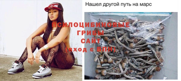 соль курить ск Алзамай