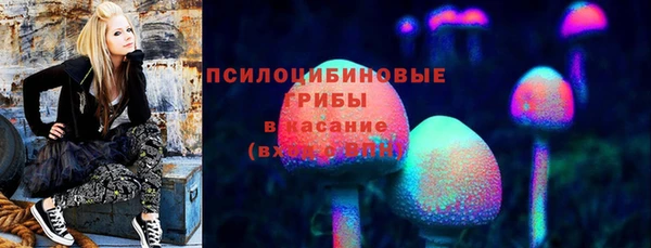 винт Алексин